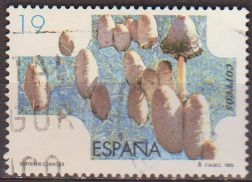 z vendido España 1995 3341 Sello º Micologia Coprino Barbudo (Coprinus Comatus) Mushrooms Timbre Espagne Spain Spagna